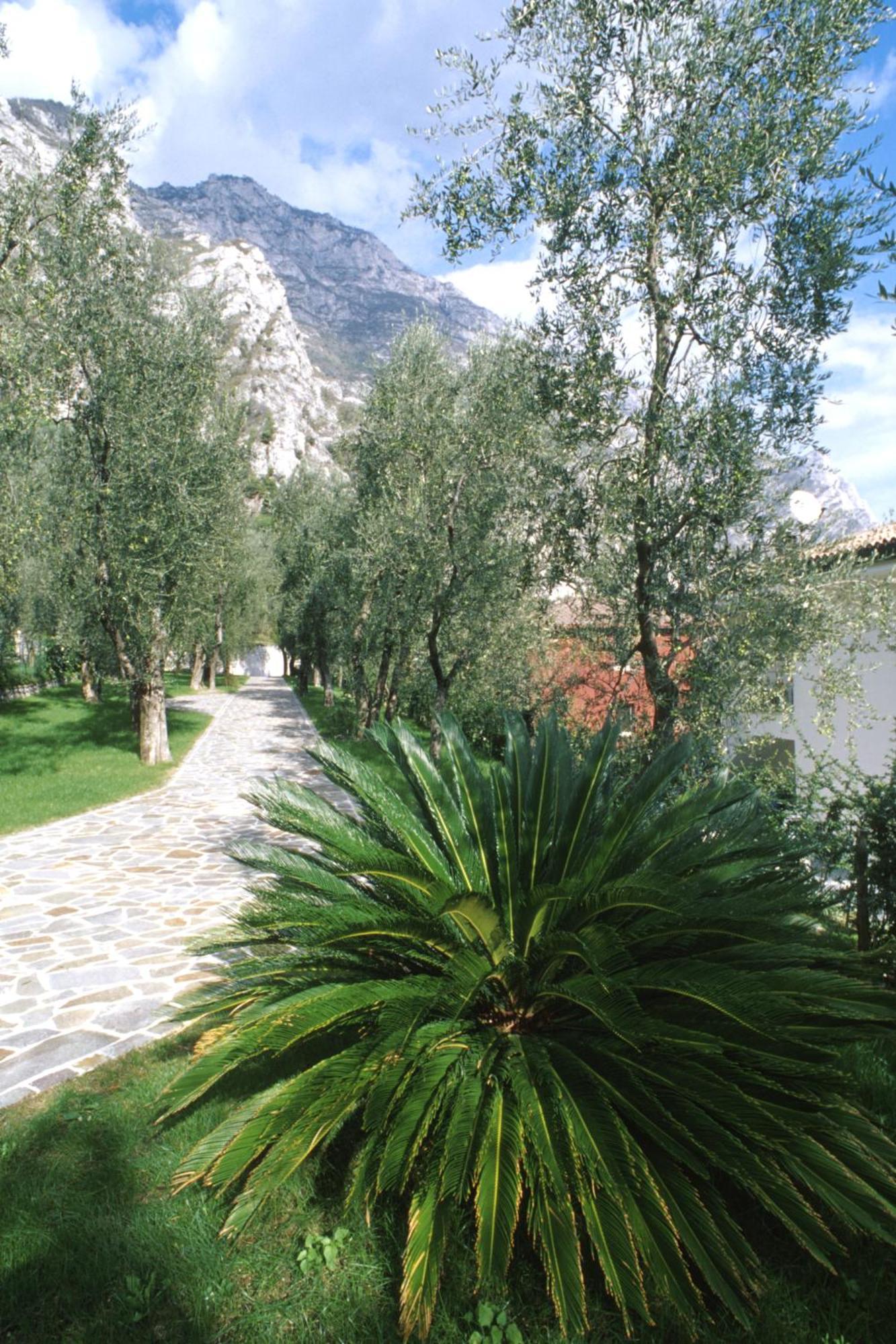 Hotel Ilma Limone sul Garda Esterno foto